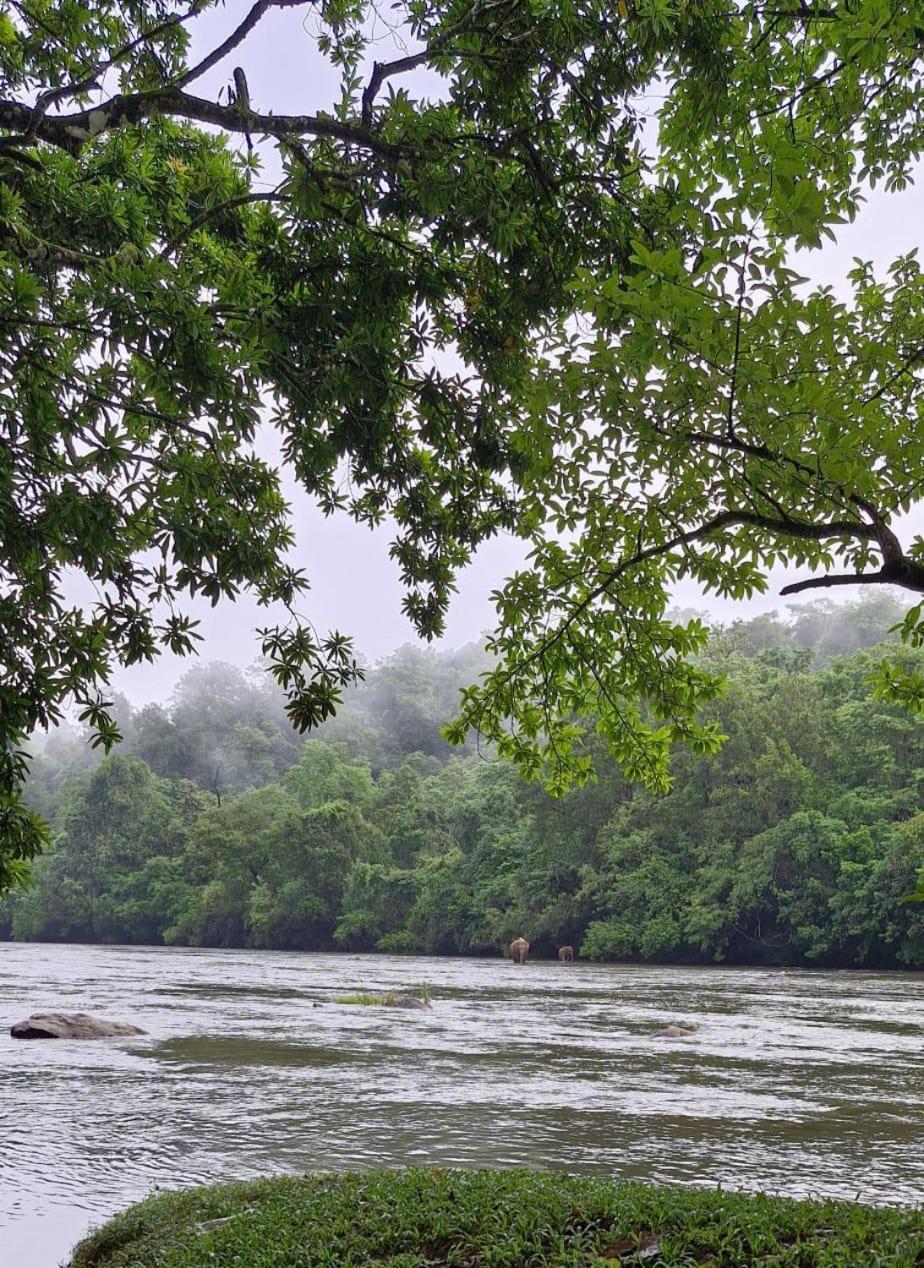 Falcon Riverview Resorts Kuttampuzha Kültér fotó