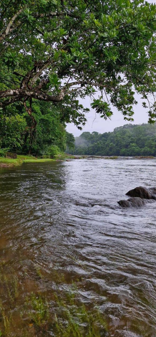 Falcon Riverview Resorts Kuttampuzha Kültér fotó